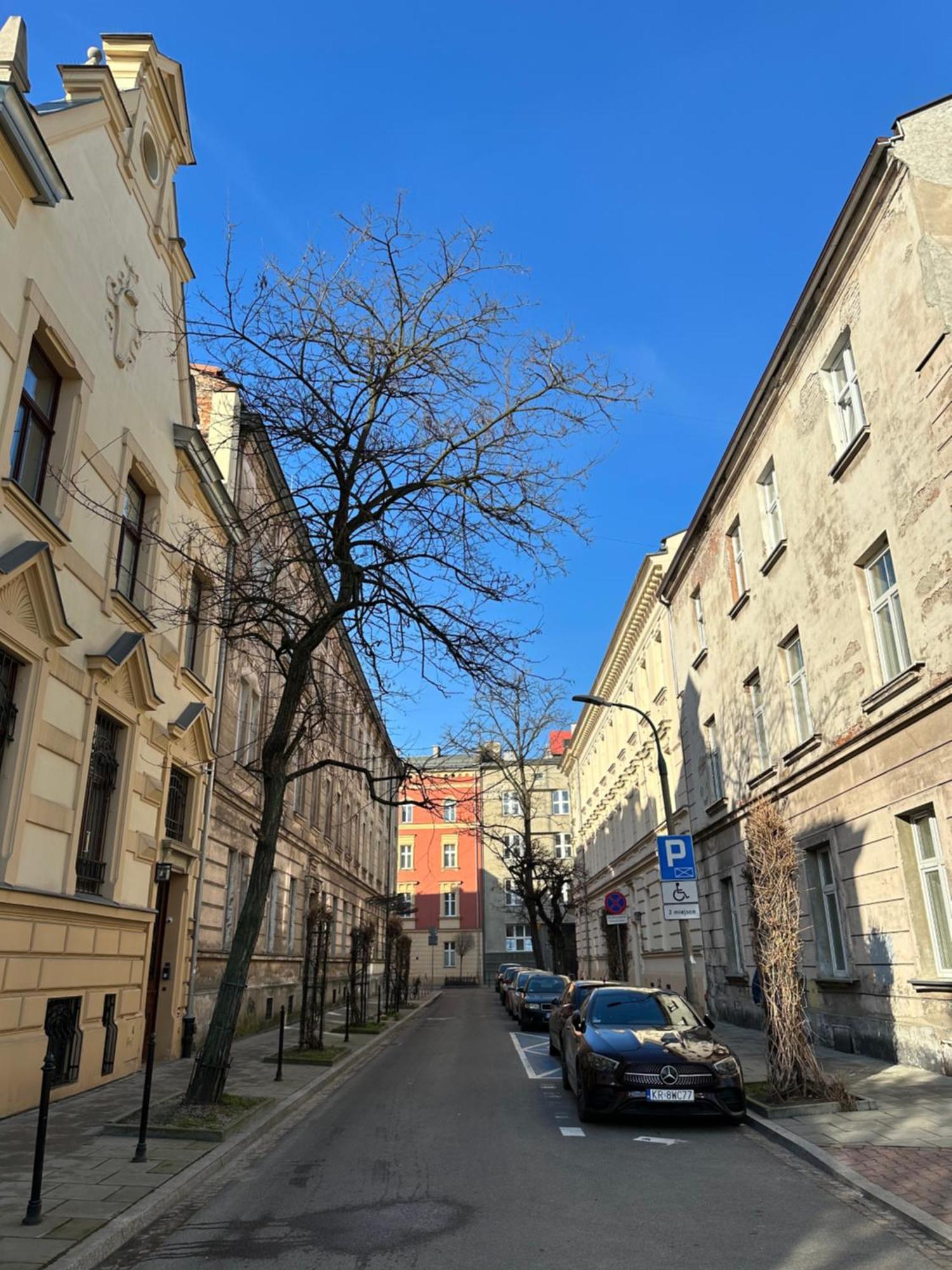 Perfect Place To Stay In Krakow City Center 40M2 W4 Extérieur photo